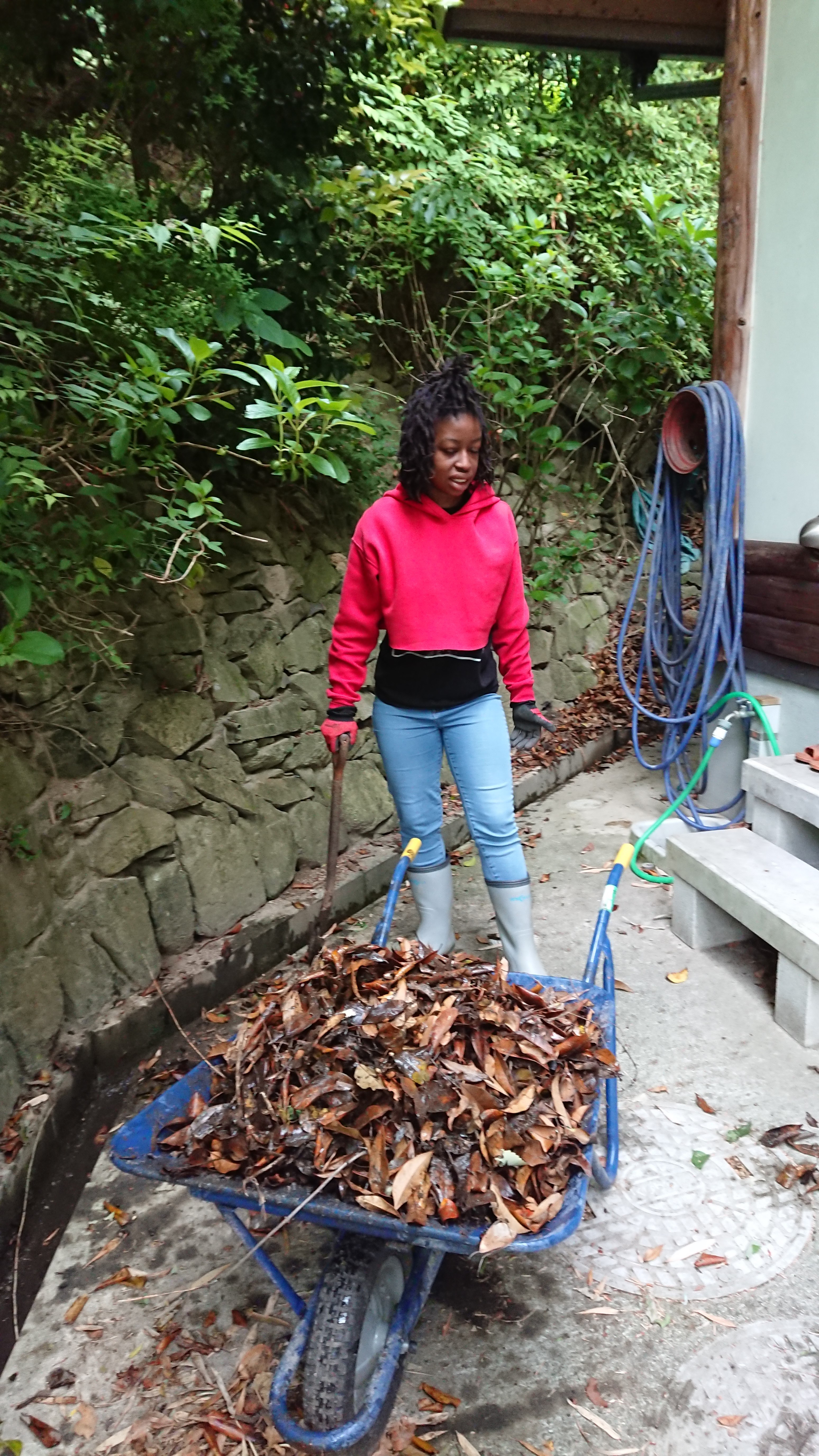 2019-06-02 07.38.13.jpg